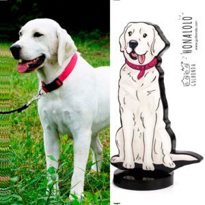 Customized Pet Honalolo Gift